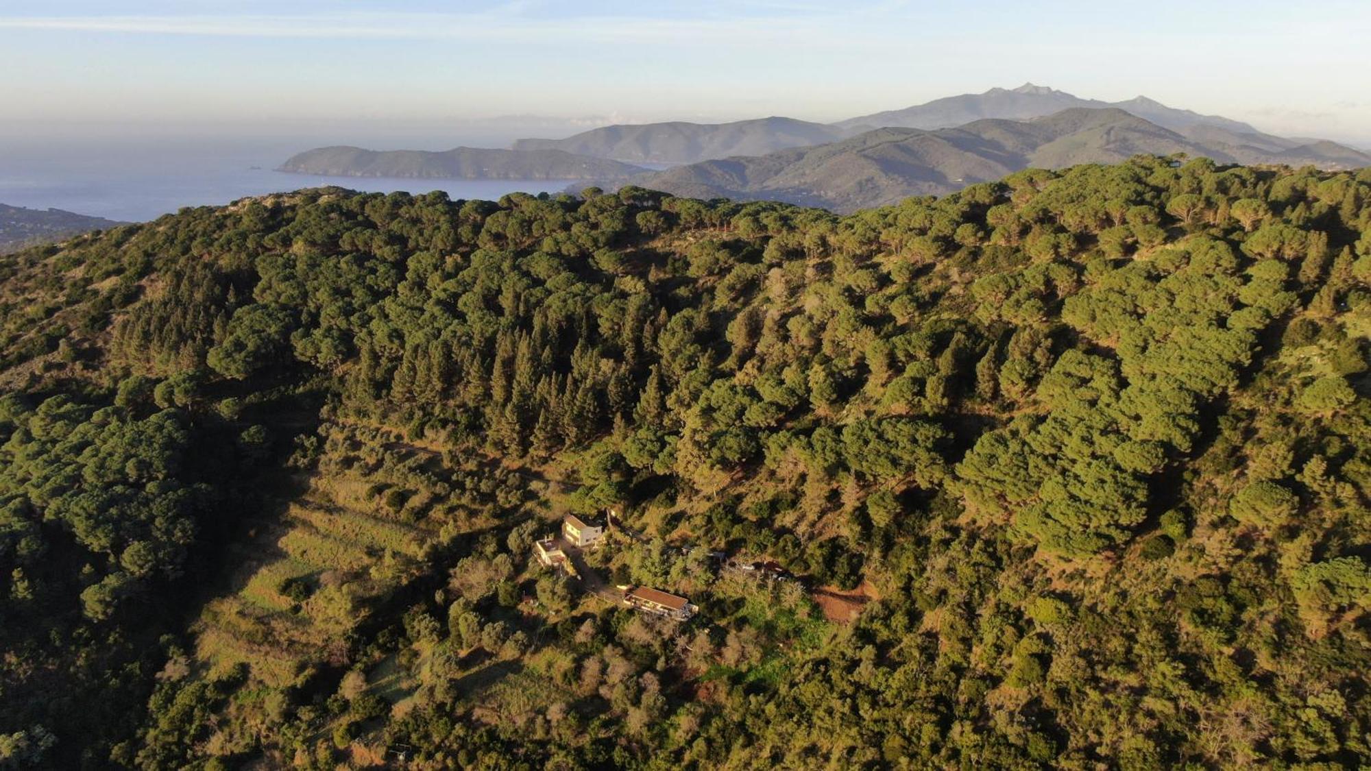 Aria Di Collina - Isola D'Elba Lejlighed Porto Azzurro Eksteriør billede