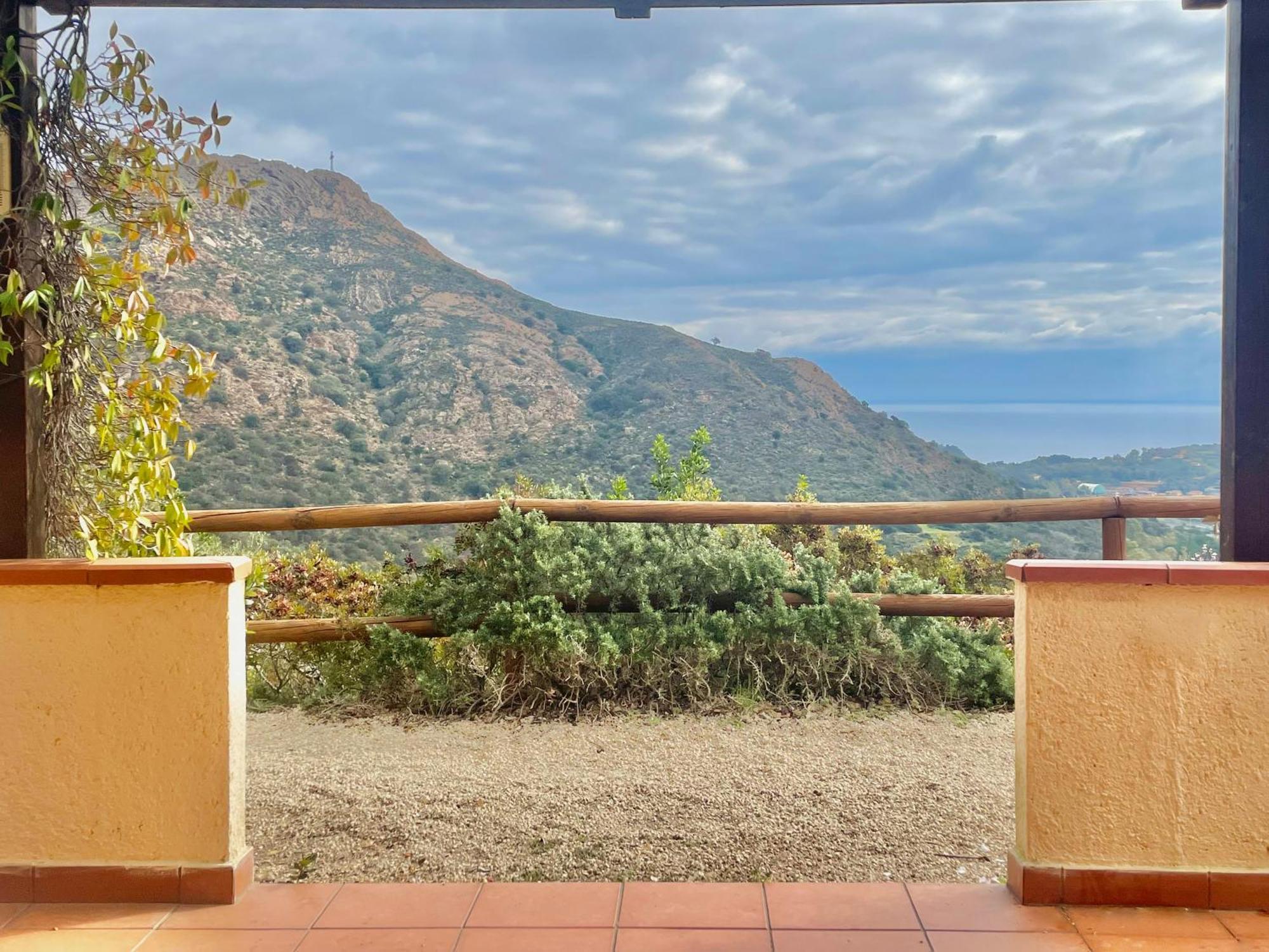 Aria Di Collina - Isola D'Elba Lejlighed Porto Azzurro Værelse billede