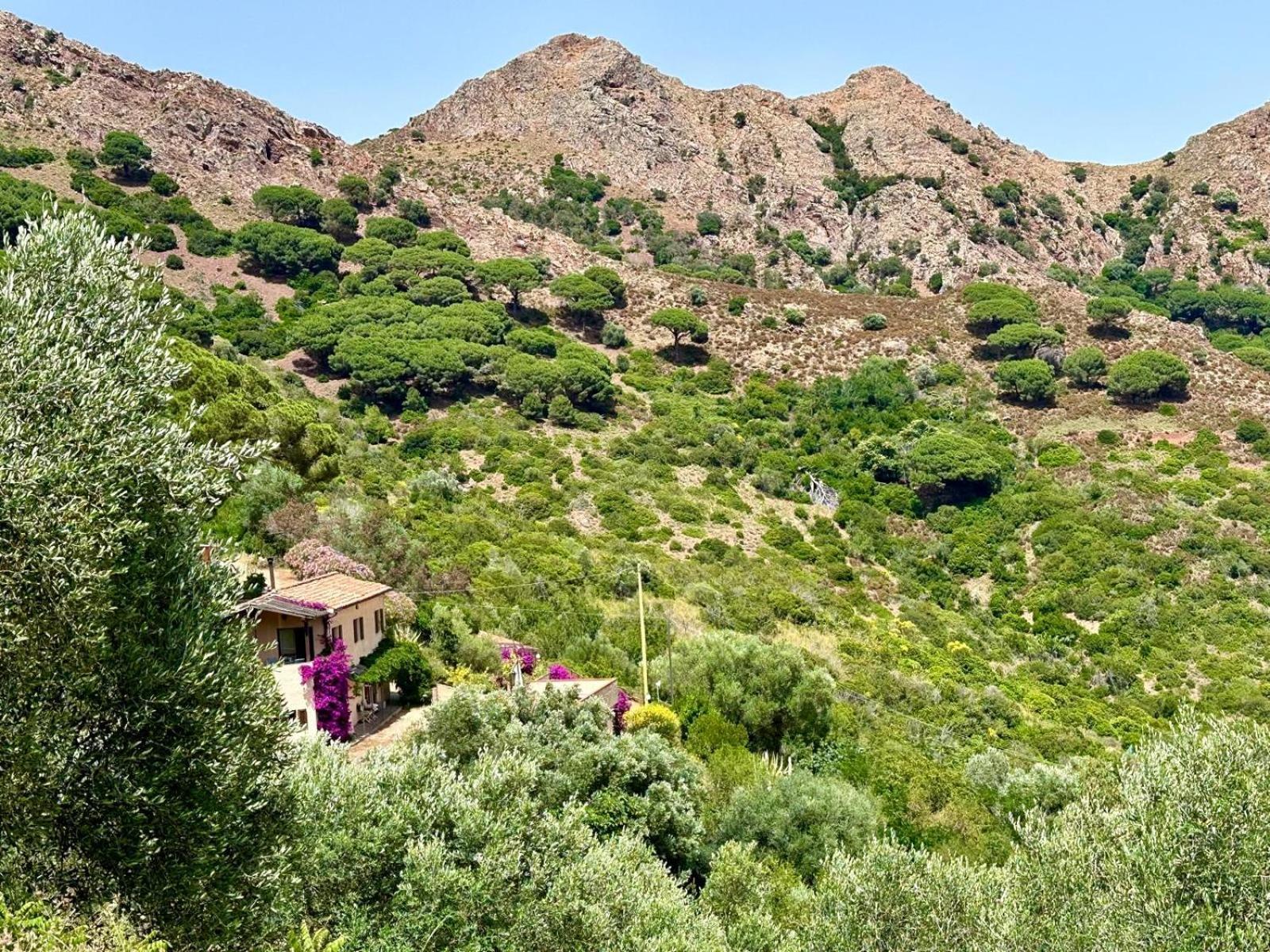 Aria Di Collina - Isola D'Elba Lejlighed Porto Azzurro Eksteriør billede
